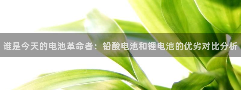 币 usdt