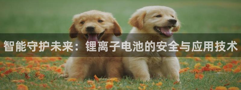 usdt钱包地址给别人