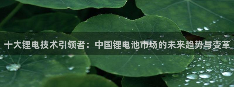 冻结usdt怎么办