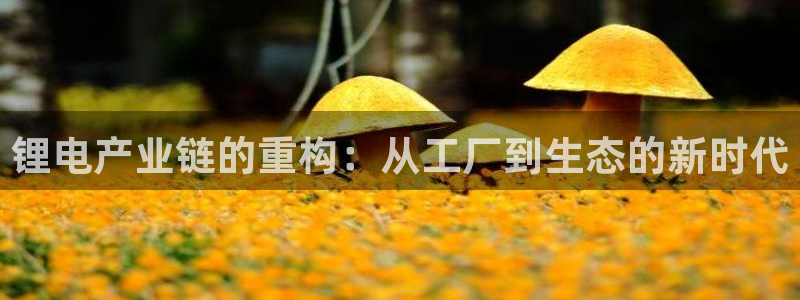 usdt区块浏览器