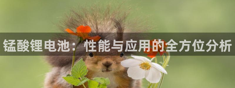 钱包usdt怎么提到交易所