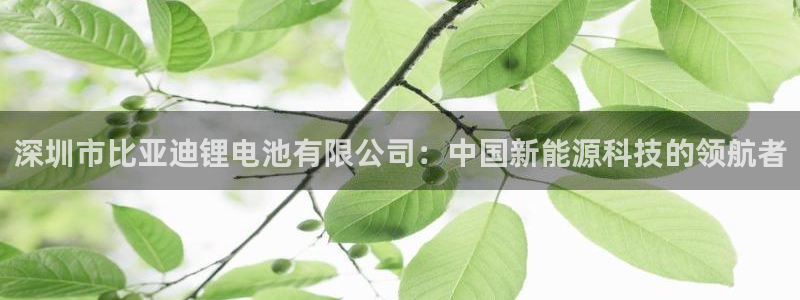 usdt交易能查到对方信息吗