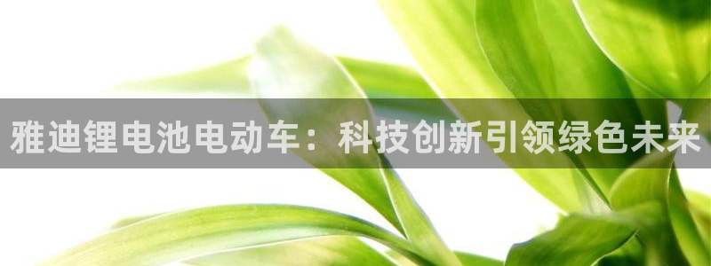 usdt钱包排行榜下载链接