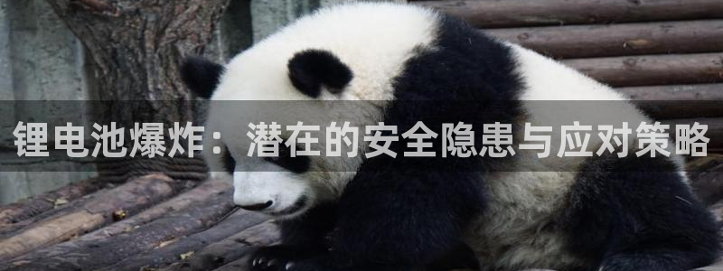 usdt怎么提币到钱包