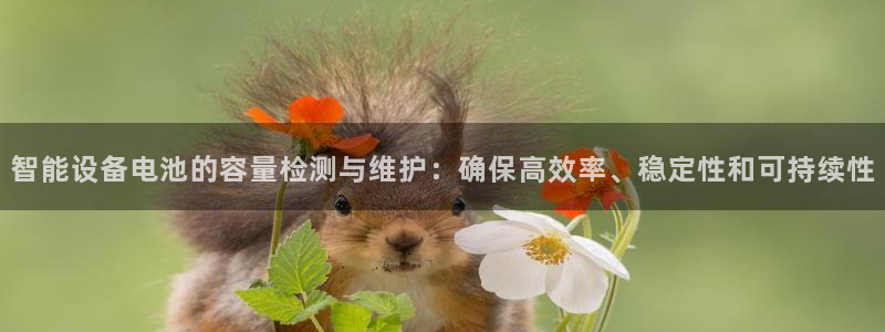 usdt官网查询