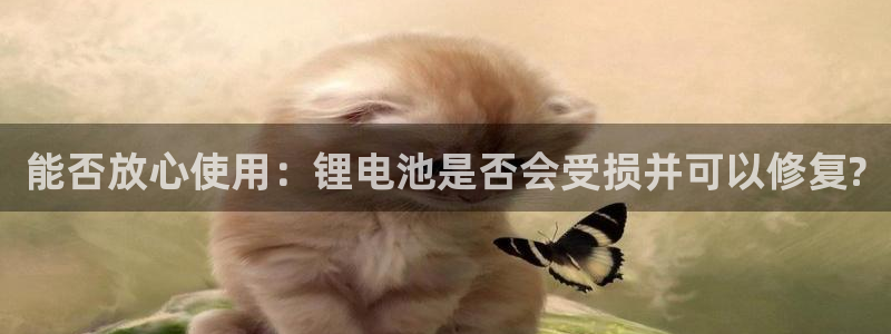 usdt交易平台软件苹果