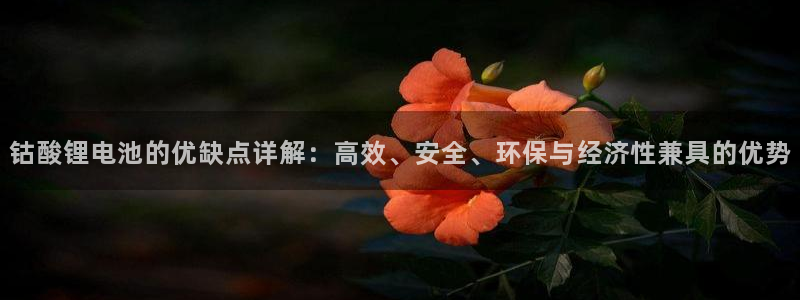 usdt官方兑换