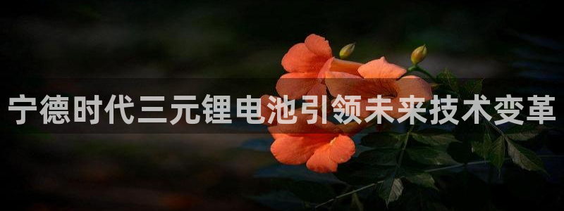usdt电子货币