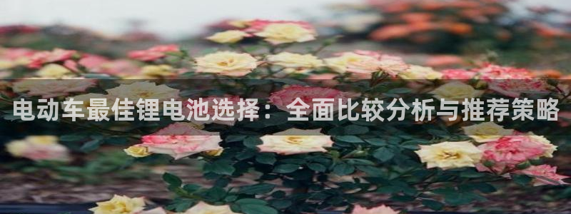usdt交易所app