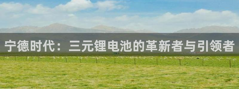 usdt交易钱包