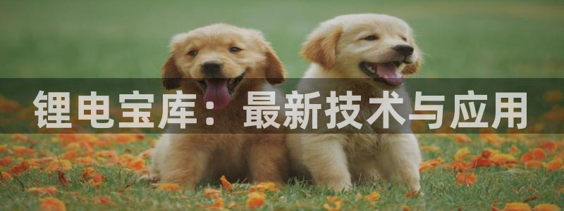 usdt如何开户