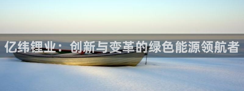 国内usdt犯罪：亿纬锂业：创新与变革的