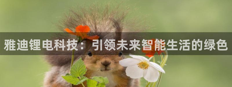 usdt官方正版下载：雅迪锂电科技：引领