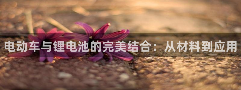 usdt合法吗在中国：电动车与锂电池的完